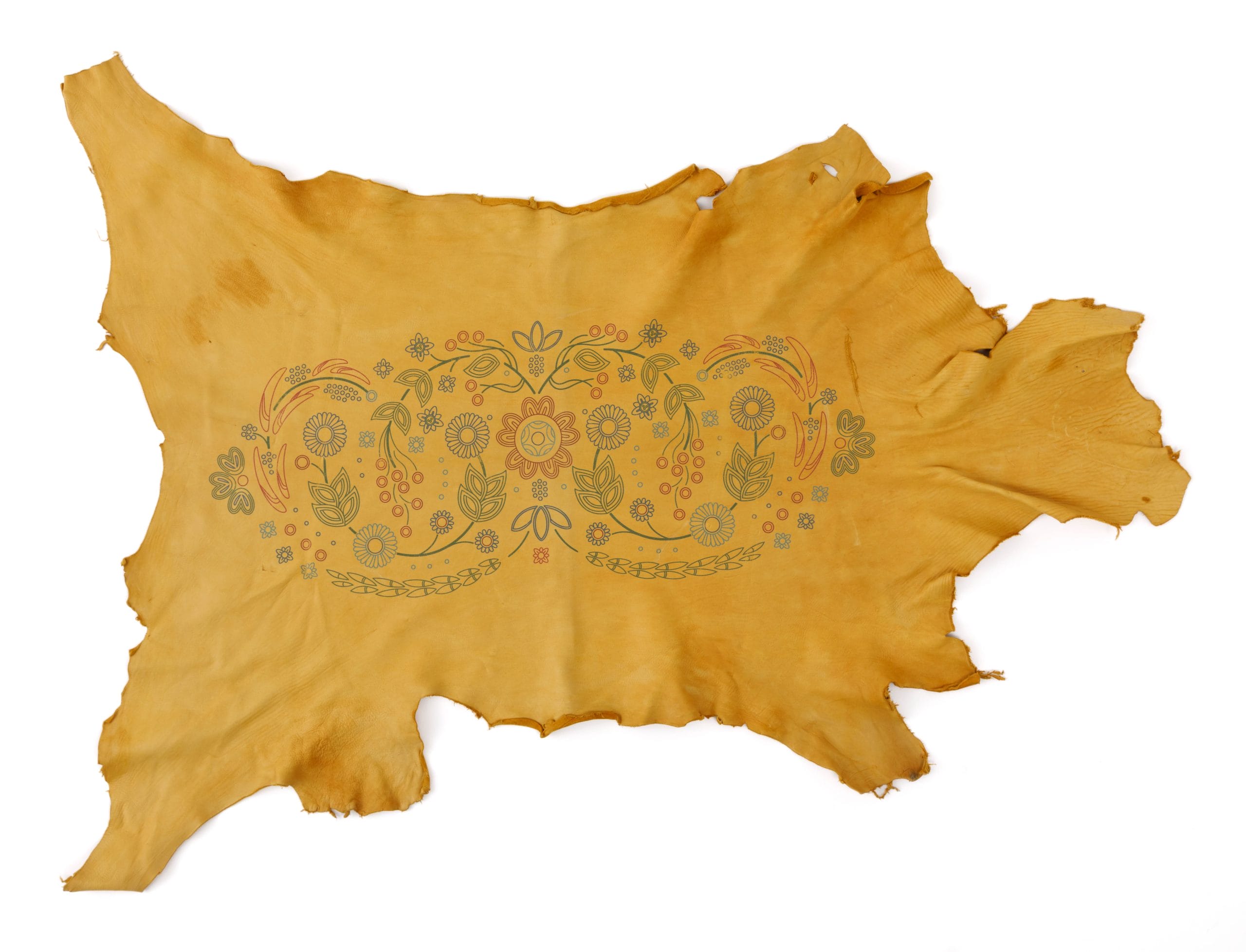 Wehwehneh Bahgahkinahgohn Hide